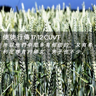 Picture 02 - 使 徒 行 傳 17:12 CUVT - 所 以 他 們 中 間 多 有 相 信 的 ， - Bible Verse Picture