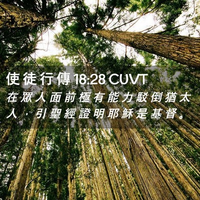 Picture 02 - 使 徒 行 傳 18:28 CUVT - 在 眾 人 面 前 極 有 能 力 駁 倒 猶 - Bible Verse Picture