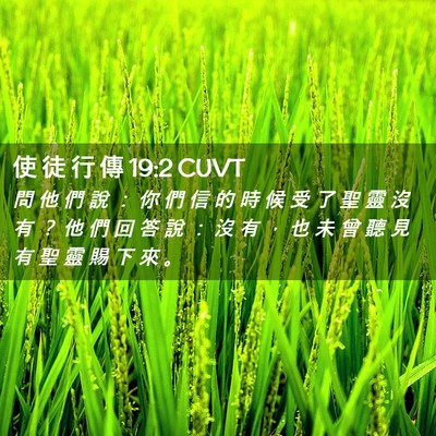 Picture 02 - 使 徒 行 傳 19:2 CUVT - 問 他 們 說 ： 你 們 信 的 時 候 受 - Bible Verse Picture