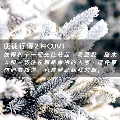Picture 02 - 使 徒 行 傳 2:14 CUVT - 彼 得 和 十 一 個 使 徒 站 起 ， 高 - Bible Verse Picture