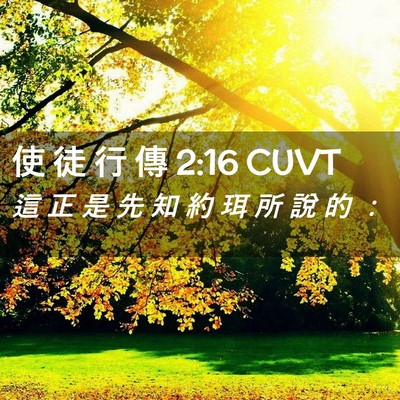 Picture 02 - 使 徒 行 傳 2:16 CUVT - 這 正 是 先 知 約 珥 所 說 的 - Bible Verse Picture
