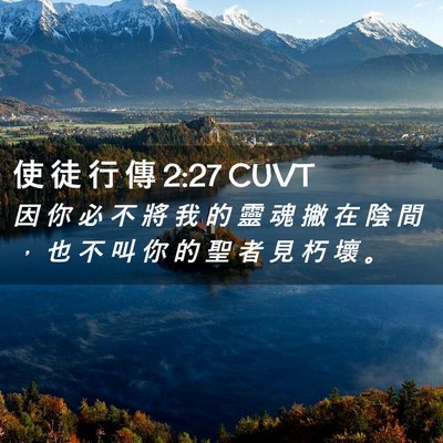Picture 02 - 使 徒 行 傳 2:27 CUVT - 因 你 必 不 將 我 的 靈 魂 撇 在 陰 - Bible Verse Picture