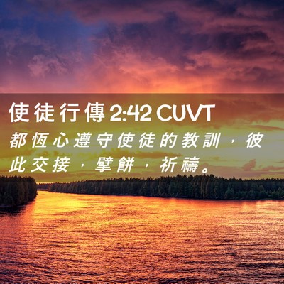 Picture 02 - 使 徒 行 傳 2:42 CUVT - 都 恆 心 遵 守 使 徒 的 教 訓 ， 彼 - Bible Verse Picture