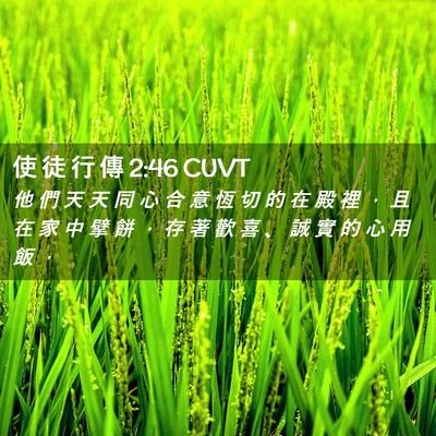 Picture 02 - 使 徒 行 傳 2:46 CUVT - 他 們 天 天 同 心 合 意 恆 切 的 在 - Bible Verse Picture