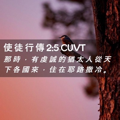 Picture 02 - 使 徒 行 傳 2:5 CUVT - 那 時 ， 有 虔 誠 的 猶 太 人 從 天 - Bible Verse Picture