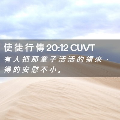 Picture 02 - 使 徒 行 傳 20:12 CUVT - 有 人 把 那 童 子 活 活 的 領 來 ， - Bible Verse Picture