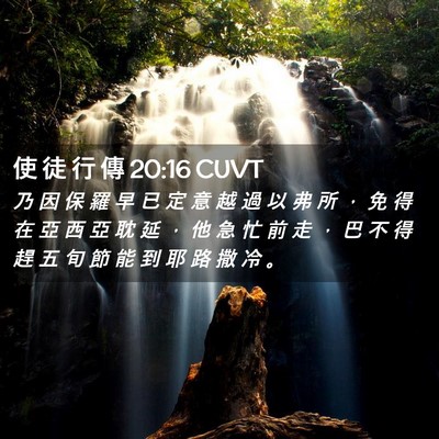 Picture 02 - 使 徒 行 傳 20:16 CUVT - 乃 因 保 羅 早 已 定 意 越 過 以 弗 - Bible Verse Picture