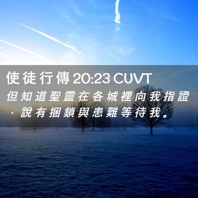 Picture 02 - 使 徒 行 傳 20:23 CUVT - 但 知 道 聖 靈 在 各 城 裡 向 我 指 - Bible Verse Picture