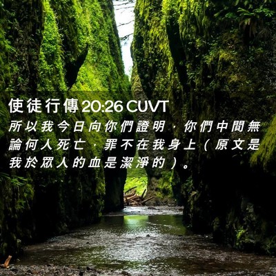 Picture 02 - 使 徒 行 傳 20:26 CUVT - 所 以 我 今 日 向 你 們 證 明 ， 你 - Bible Verse Picture