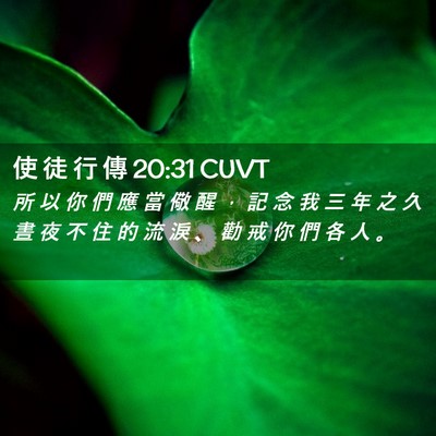 Picture 02 - 使 徒 行 傳 20:31 CUVT - 所 以 你 們 應 當 儆 醒 ， 記 念 我 - Bible Verse Picture