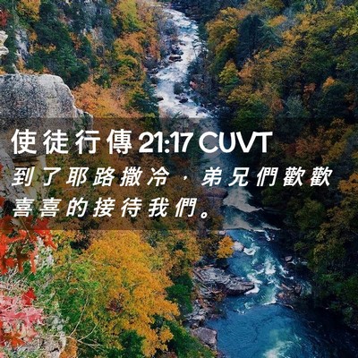 Picture 02 - 使 徒 行 傳 21:17 CUVT - 到 了 耶 路 撒 冷 ， 弟 兄 們 歡 歡 - Bible Verse Picture