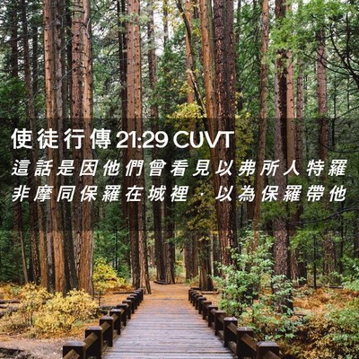 Picture 02 - 使 徒 行 傳 21:29 CUVT - 這 話 是 因 他 們 曾 看 見 以 弗 所 - Bible Verse Picture