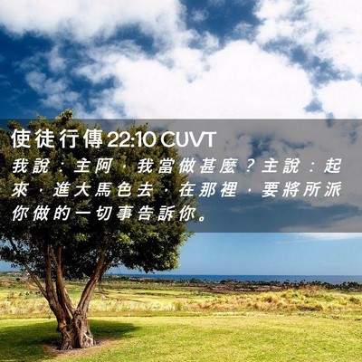 Picture 02 - 使 徒 行 傳 22:10 CUVT - 我 說 ： 主 阿 ， 我 當 做 甚 麼 ？ - Bible Verse Picture