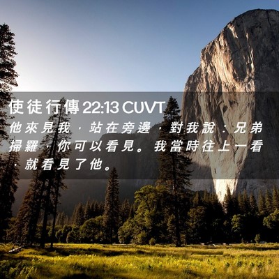 Picture 02 - 使 徒 行 傳 22:13 CUVT - 他 來 見 我 ， 站 在 旁 邊 ， 對 我 - Bible Verse Picture
