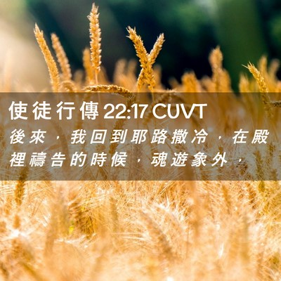 Picture 02 - 使 徒 行 傳 22:17 CUVT - 後 來 ， 我 回 到 耶 路 撒 冷 ， 在 - Bible Verse Picture