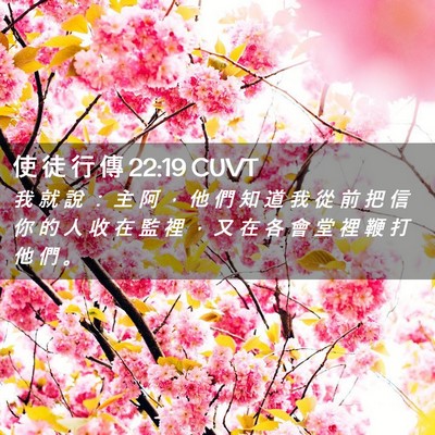 Picture 02 - 使 徒 行 傳 22:19 CUVT - 我 就 說 ： 主 阿 ， 他 們 知 道 我 - Bible Verse Picture