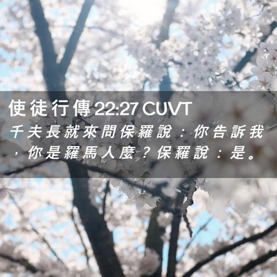 Picture 02 - 使 徒 行 傳 22:27 CUVT - 千 夫 長 就 來 問 保 羅 說 ： 你 告 - Bible Verse Picture
