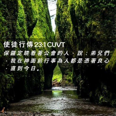 Picture 02 - 使 徒 行 傳 23:1 CUVT - 保 羅 定 睛 看 著 公 會 的 人 ， 說 - Bible Verse Picture