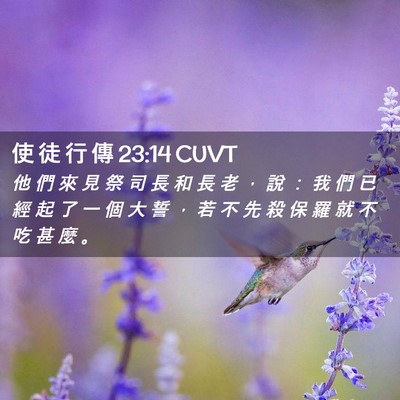 Picture 02 - 使 徒 行 傳 23:14 CUVT - 他 們 來 見 祭 司 長 和 長 老 ， 說 - Bible Verse Picture