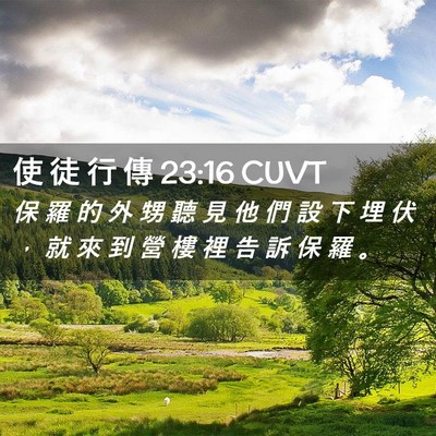 Picture 02 - 使 徒 行 傳 23:16 CUVT - 保 羅 的 外 甥 聽 見 他 們 設 下 埋 - Bible Verse Picture