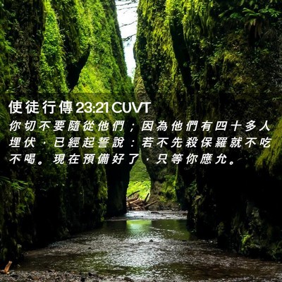 Picture 02 - 使 徒 行 傳 23:21 CUVT - 你 切 不 要 隨 從 他 們 ； 因 為 他 - Bible Verse Picture