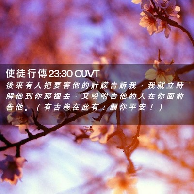 Picture 02 - 使 徒 行 傳 23:30 CUVT - 後 來 有 人 把 要 害 他 的 計 謀 告 - Bible Verse Picture