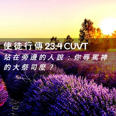 Picture 02 - 使 徒 行 傳 23:4 CUVT - 站 在 旁 邊 的 人 說 ： 你 辱 罵 神 - Bible Verse Picture