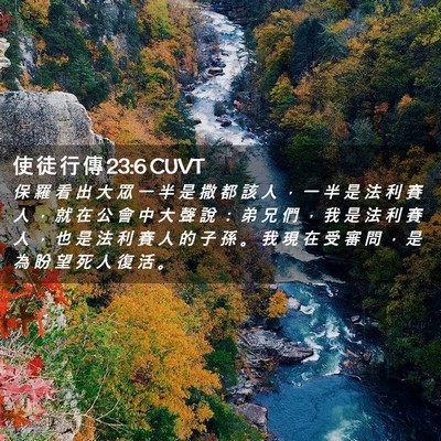 Picture 02 - 使 徒 行 傳 23:6 CUVT - 保 羅 看 出 大 眾 一 半 是 撒 都 該 - Bible Verse Picture
