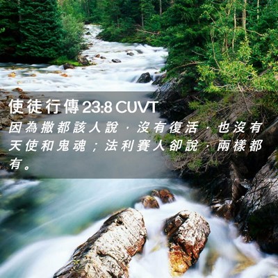 Picture 02 - 使 徒 行 傳 23:8 CUVT - 因 為 撒 都 該 人 說 ， 沒 有 復 活 - Bible Verse Picture