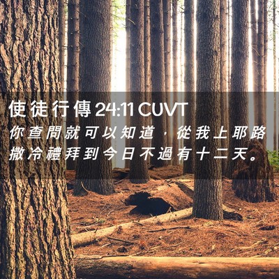 Picture 02 - 使 徒 行 傳 24:11 CUVT - 你 查 問 就 可 以 知 道 ， 從 我 上 - Bible Verse Picture
