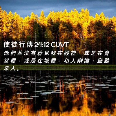 Picture 02 - 使 徒 行 傳 24:12 CUVT - 他 們 並 沒 有 看 見 我 在 殿 裡 ， - Bible Verse Picture