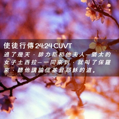 Picture 02 - 使 徒 行 傳 24:24 CUVT - 過 了 幾 天 ， 腓 力 斯 和 他 夫 人 - Bible Verse Picture