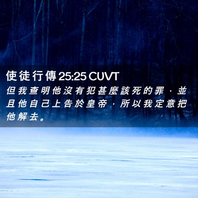 Picture 02 - 使 徒 行 傳 25:25 CUVT - 但 我 查 明 他 沒 有 犯 甚 麼 該 死 - Bible Verse Picture