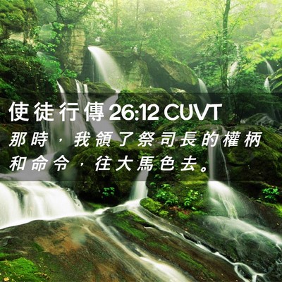 Picture 02 - 使 徒 行 傳 26:12 CUVT - 那 時 ， 我 領 了 祭 司 長 的 權 柄 - Bible Verse Picture