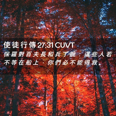 Picture 02 - 使 徒 行 傳 27:31 CUVT - 保 羅 對 百 夫 長 和 兵 丁 說 ： 這 - Bible Verse Picture