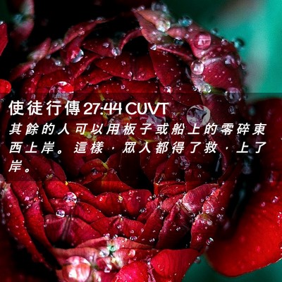 Picture 02 - 使 徒 行 傳 27:44 CUVT - 其 餘 的 人 可 以 用 板 子 或 船 上 - Bible Verse Picture