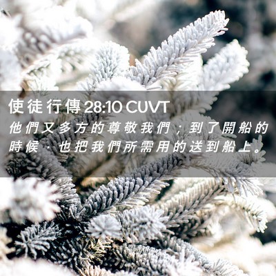 Picture 02 - 使 徒 行 傳 28:10 CUVT - 他 們 又 多 方 的 尊 敬 我 們 ； 到 - Bible Verse Picture