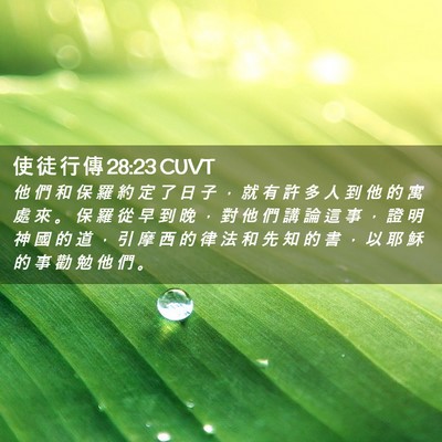 Picture 02 - 使 徒 行 傳 28:23 CUVT - 他 們 和 保 羅 約 定 了 日 子 ， 就 - Bible Verse Picture