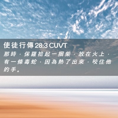 Picture 02 - 使 徒 行 傳 28:3 CUVT - 那 時 ， 保 羅 拾 起 一 捆 柴 ， 放 - Bible Verse Picture
