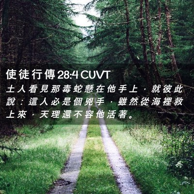 Picture 02 - 使 徒 行 傳 28:4 CUVT - 土 人 看 見 那 毒 蛇 懸 在 他 手 上 - Bible Verse Picture