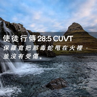 Picture 02 - 使 徒 行 傳 28:5 CUVT - 保 羅 竟 把 那 毒 蛇 甩 在 火 裡 ， - Bible Verse Picture