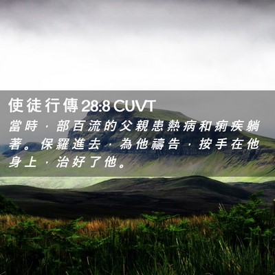 Picture 02 - 使 徒 行 傳 28:8 CUVT - 當 時 ， 部 百 流 的 父 親 患 熱 病 - Bible Verse Picture