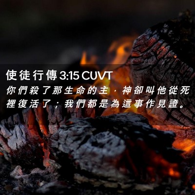 Picture 02 - 使 徒 行 傳 3:15 CUVT - 你 們 殺 了 那 生 命 的 主 ， 神 卻 - Bible Verse Picture