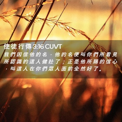 Picture 02 - 使 徒 行 傳 3:16 CUVT - 我 們 因 信 他 的 名 ， 他 的 名 便 - Bible Verse Picture