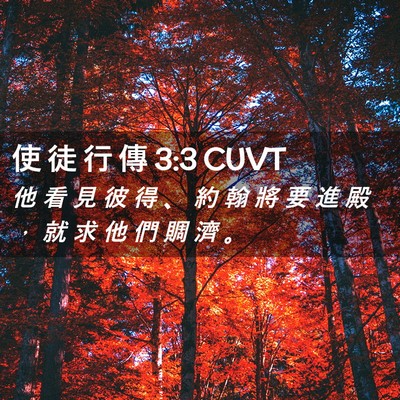 Picture 02 - 使 徒 行 傳 3:3 CUVT - 他 看 見 彼 得 、 約 翰 將 要 進 殿 - Bible Verse Picture
