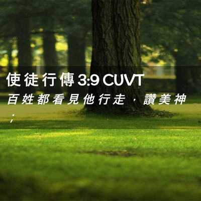 Picture 02 - 使 徒 行 傳 3:9 CUVT - 百 姓 都 看 見 他 行 走 ， 讚 美 神 - Bible Verse Picture