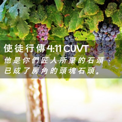Picture 02 - 使 徒 行 傳 4:11 CUVT - 他 是 你 們 匠 人 所 棄 的 石 頭 ， - Bible Verse Picture