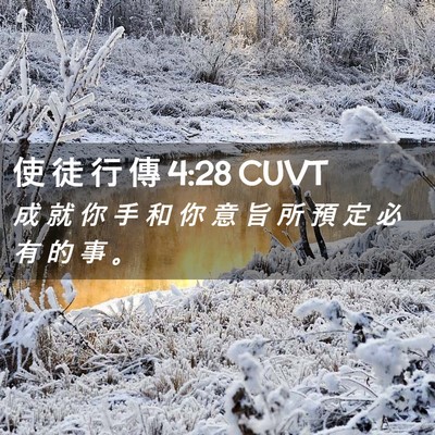 Picture 02 - 使 徒 行 傳 4:28 CUVT - 成 就 你 手 和 你 意 旨 所 預 定 必 - Bible Verse Picture