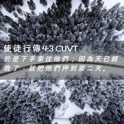 Picture 02 - 使 徒 行 傳 4:3 CUVT - 於 是 下 手 拿 住 他 們 ； 因 為 天 - Bible Verse Picture