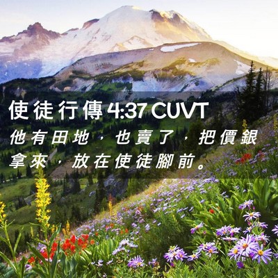 Picture 02 - 使 徒 行 傳 4:37 CUVT - 他 有 田 地 ， 也 賣 了 ， 把 價 銀 - Bible Verse Picture